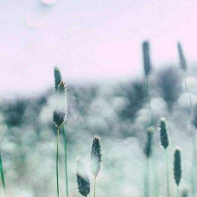 365体育手机版入口截图